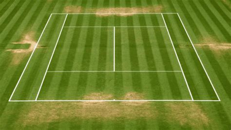 betfred tennis|Wimbledon Betting Odds .